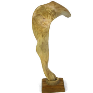 Sculpture bois acacia bec - Le serpent de bois Patrick Bloch
