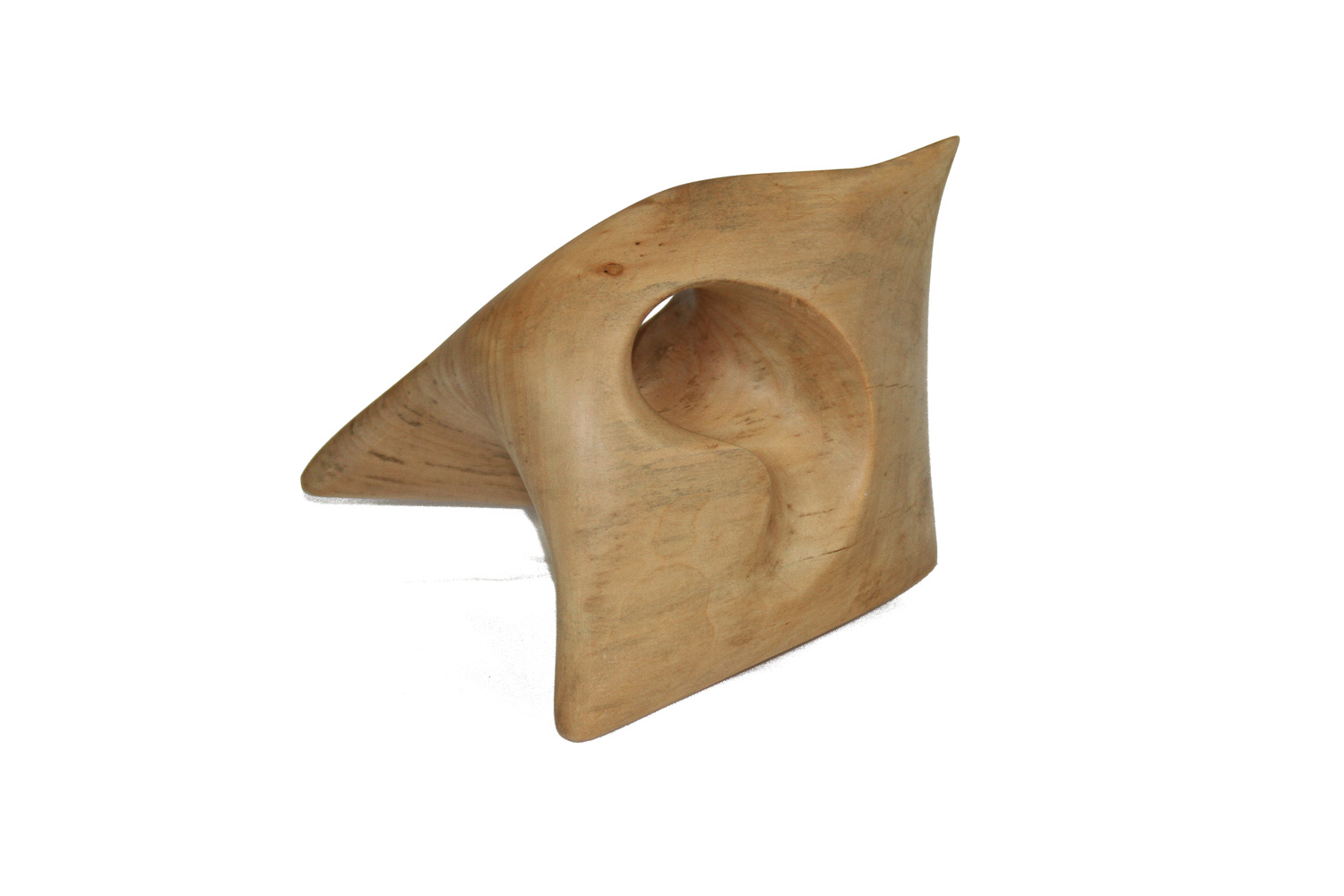 Sculpture bois acacia oeil d'aileron - Le serpent de bois Patrick Bloch
