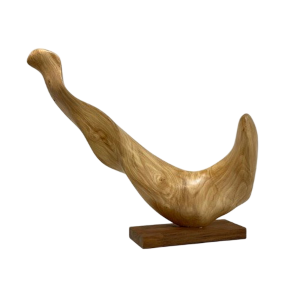 Patrick Bloch - Bec 1 Q